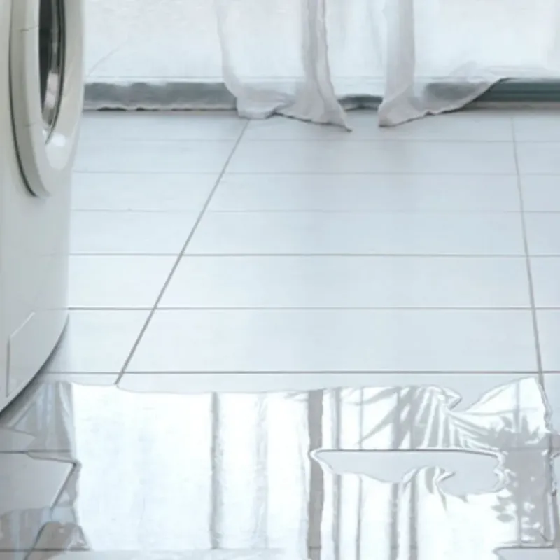 Appliance Leak Cleanup in Saint Charles, IL