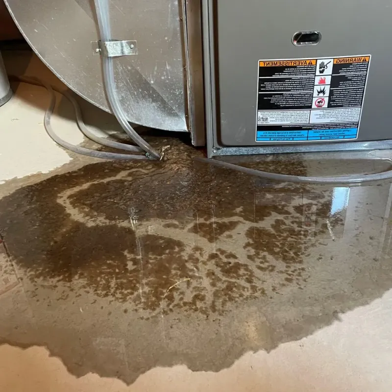 Pipe Burst and Leak Restoration in Saint Charles, IL