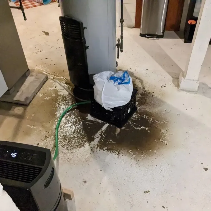 Sewage Backup Cleanup Service in Saint Charles, IL